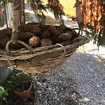 Janicsar Garden Appartamento