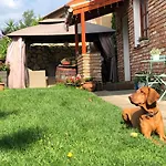 Janicsar Garden Appartamento Eger