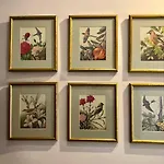 Appartamento Janicsar Garden *