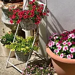 Appartamento Janicsar Garden