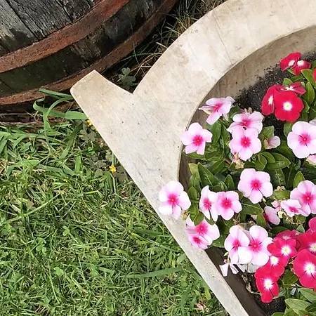 Janicsar Garden * Eğri