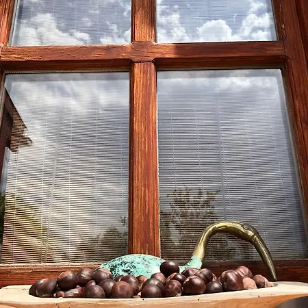 Janicsar Garden Daire Eğri