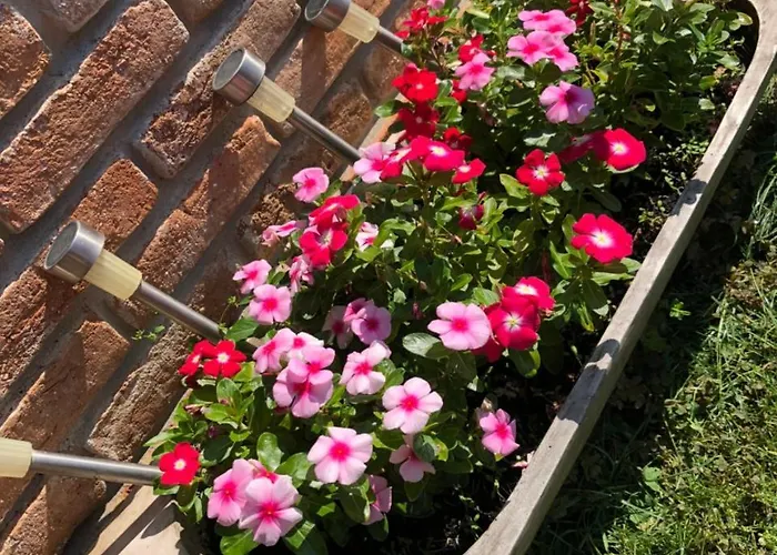 شقة Janicsar Garden