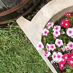Janicsar Garden * 에게르