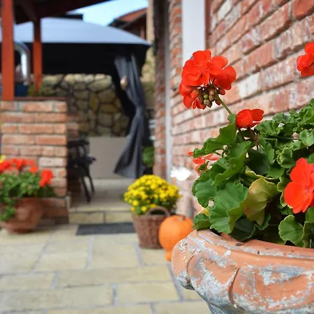 Janicsar Garden Apartament Eger