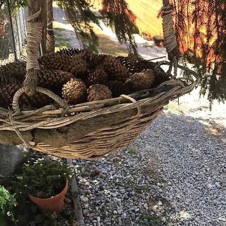 Janicsar Garden Διαμέρισμα