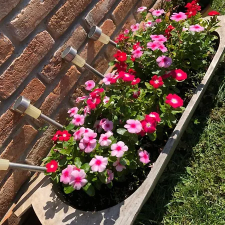 Apartament Janicsar Garden