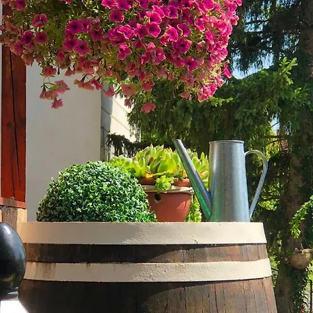 Apartament Janicsar Garden