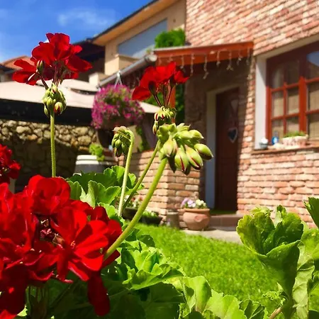 Appartement Janicsar Garden