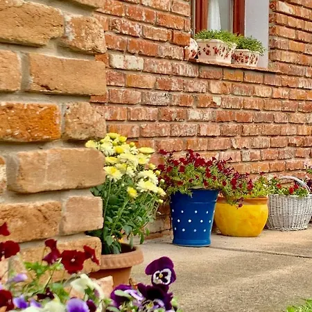 Διαμέρισμα Janicsar Garden *
