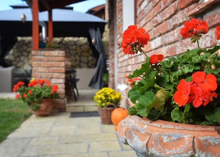 Janicsar Garden Apartament Eger