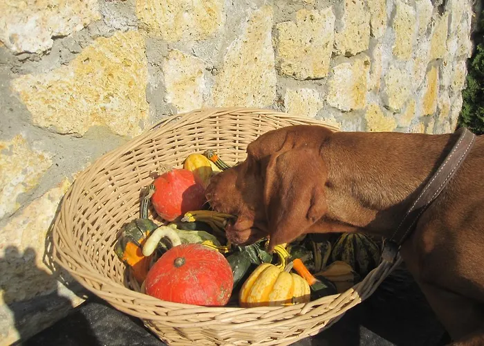 Apartament Janicsar Garden Eger