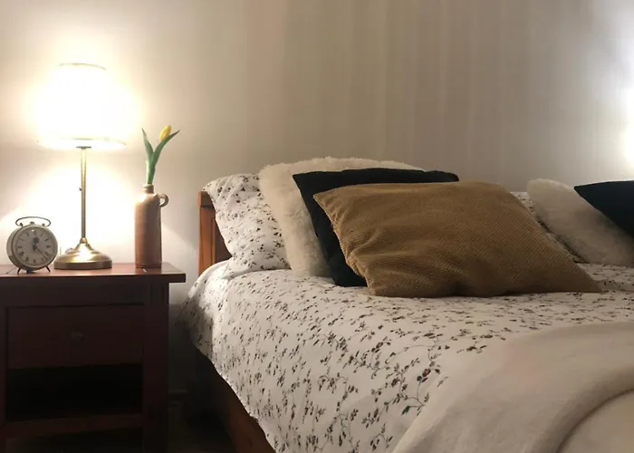 Janicsar Garden Eger