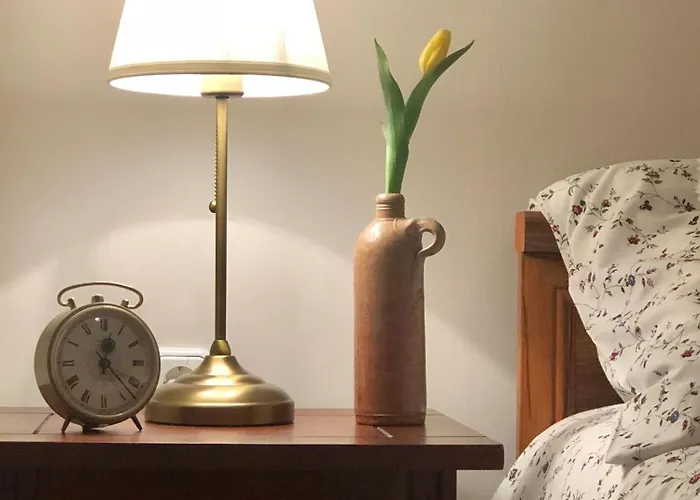 Janicsar Garden Apartament