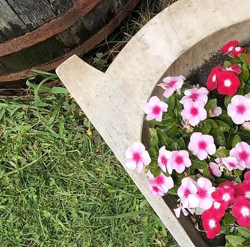 Janicsar Garden * Eger