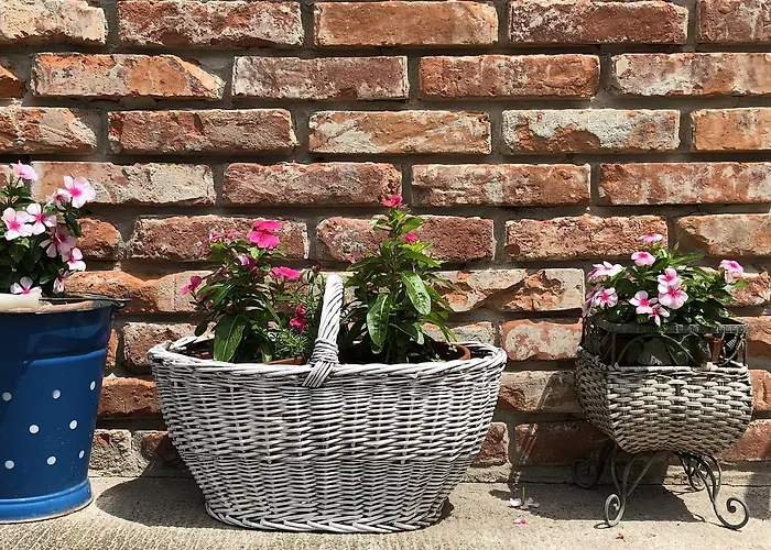 Janicsar Garden Apartament