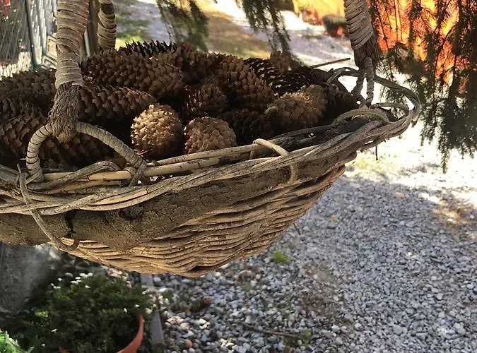 Janicsar Garden Apartament