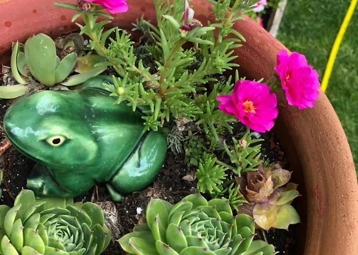 Apartament Janicsar Garden