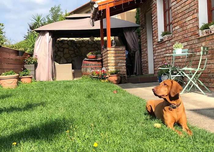 Janicsar Garden Apartament Eger