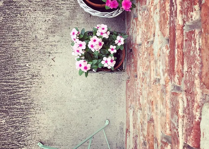 Apartament Janicsar Garden *