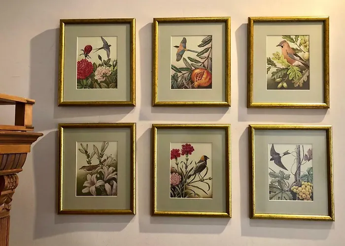 Apartament Janicsar Garden *