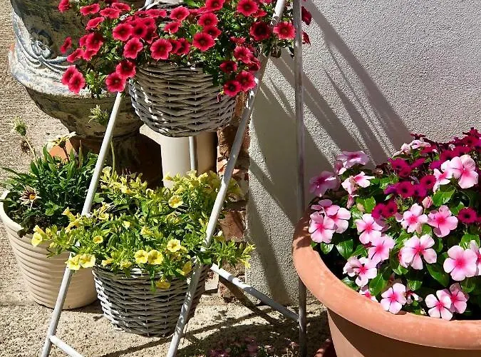 Apartament Janicsar Garden