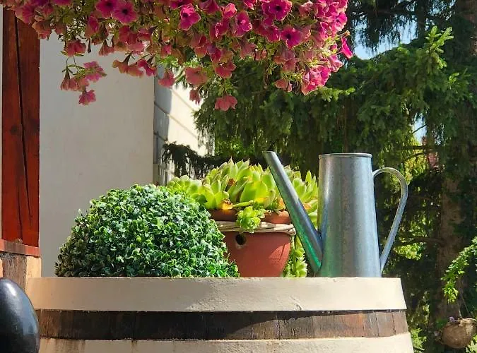 Apartament Janicsar Garden