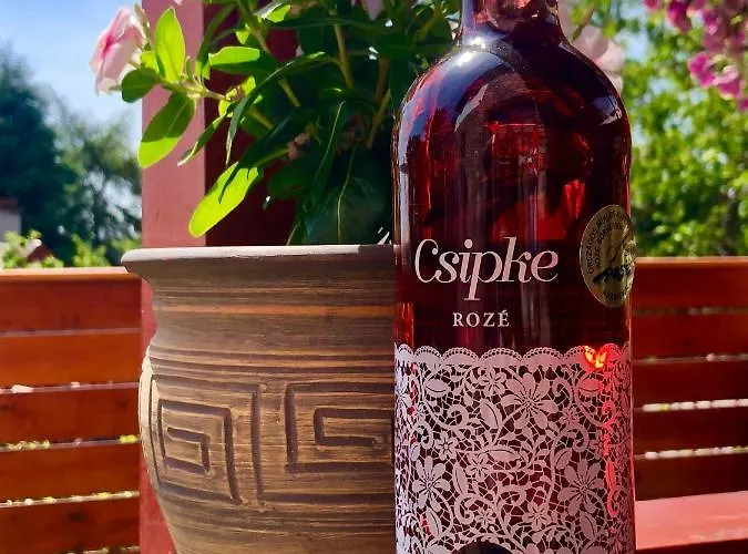 Janicsar Garden Apartament Eger