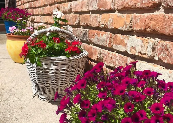 Apartament Janicsar Garden