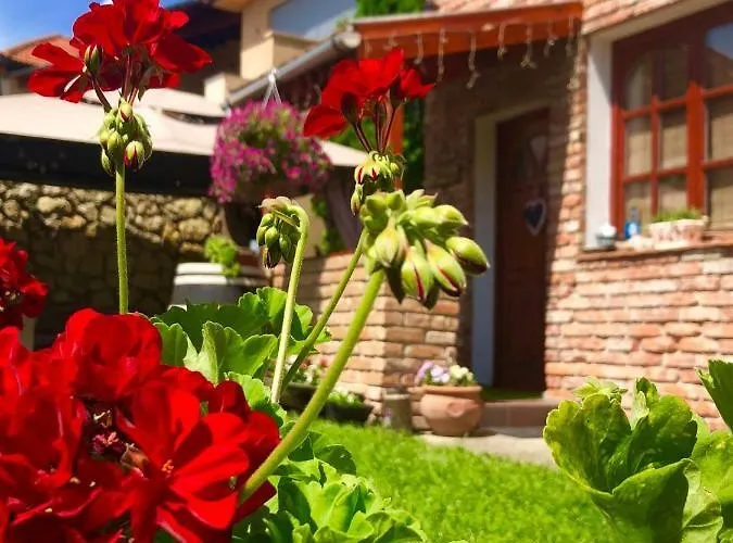 Apartament Janicsar Garden