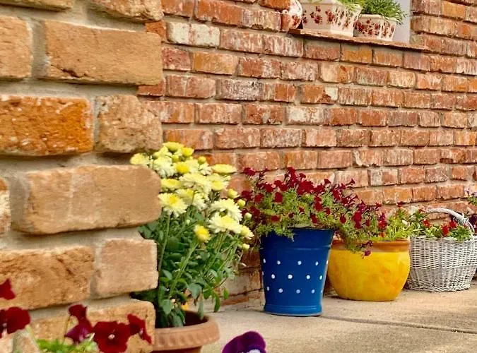 Apartament Janicsar Garden *