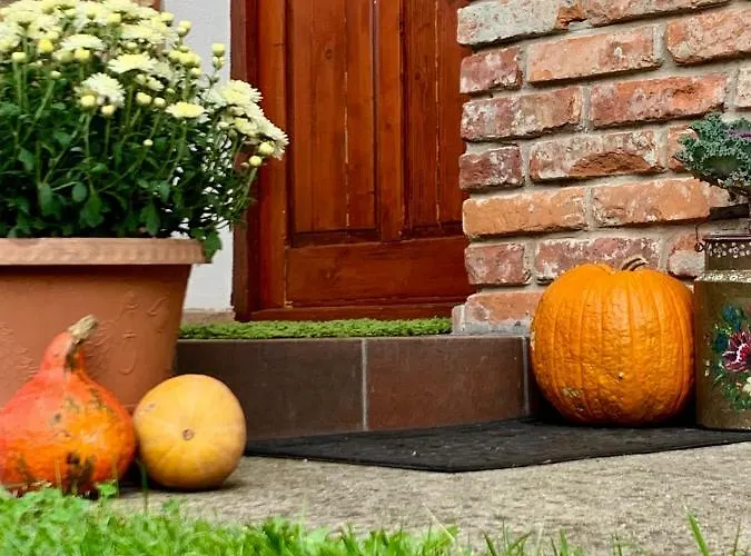 Janicsar Garden Apartament Eger